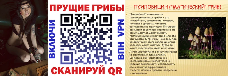 Галлюциногенные грибы Cubensis  хочу   кракен tor  Порхов 